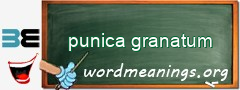 WordMeaning blackboard for punica granatum